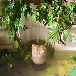 En Casa Patio 